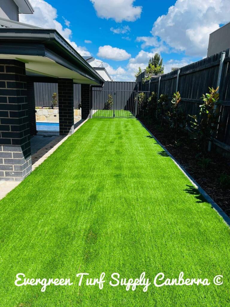 artificial grass Canberra